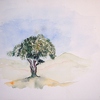 1998-08 Der einsame Baum San Rafael 32x24cm t