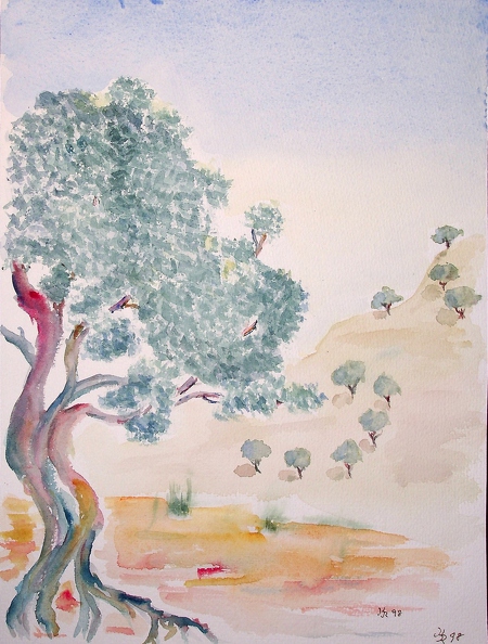1998-08_Der tanzende Olivenbaum San Rafael_32x24cm_t.jpg
