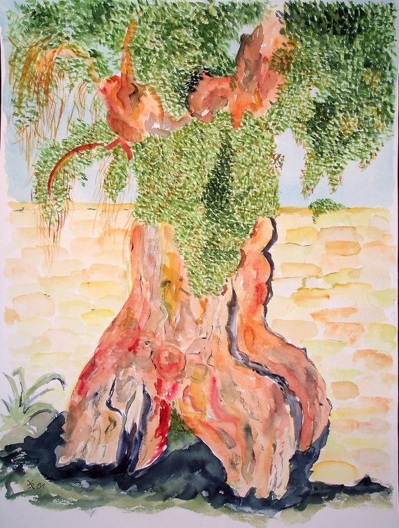 2001-05-06 Olivenbaum in Apulien 40x30cm t