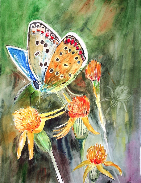 2015-09_Schmetterlings Ruhepause_40x30cm_t.jpg