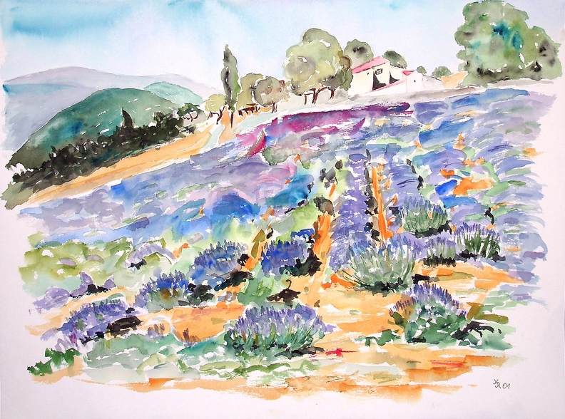 2001_Lavendelfelder in der Provence_48x36cm_t.jpg