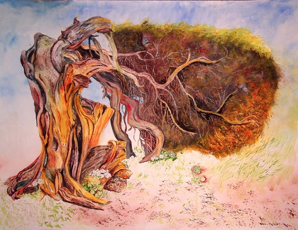 o.J. Postkartenbaum von Hierro, Wacholder 65x50cm t