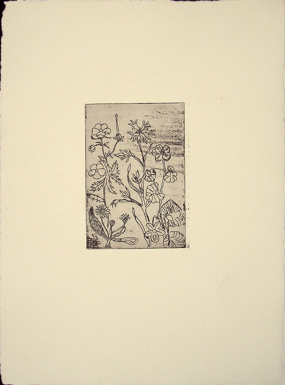 1987 Wiesenblumen Originaldruck