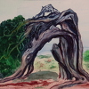 2015-12-25 Ein anderer Drachenbaum, Gomera 24x17cm t