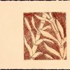 o.J.N.S._Radierung Bambus_14 x 10cm_t.jpg