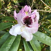 IMG-20220515-WA0001