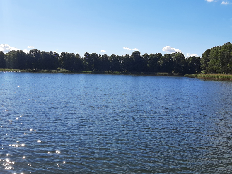 20220905_102952.jpg