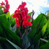 IMG-20210927-WA0004