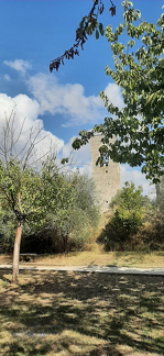 20210929 151136-PhotoRoom
