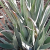 20211217 114709-PhotoRoom