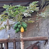 20211217 115405-PhotoRoom
