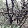 20211217 144602-PhotoRoom