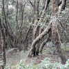 20211217 144849-PhotoRoom