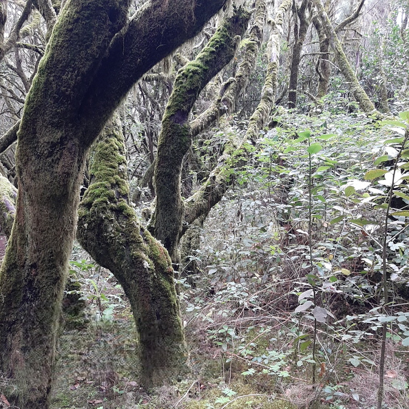 20211217_145039-PhotoRoom.jpg