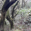 20211217 145039-PhotoRoom