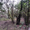 20211217 145131-PhotoRoom