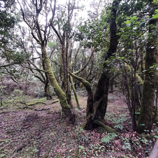 20211217 145131-PhotoRoom