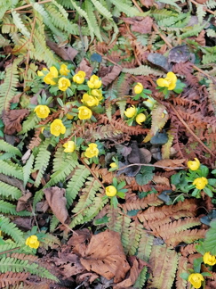 IMG-20210221-WA0004