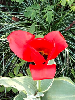 IMG-20210517-WA0005