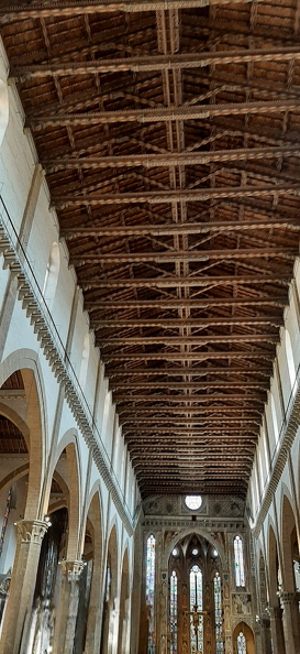 20210923_145927-PhotoRoom.jpg