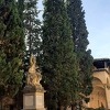 20210923 155650-PhotoRoom