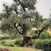 20210926 105141-PhotoRoom