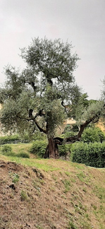 20210926 105141-PhotoRoom